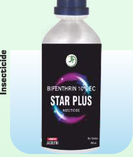 STAR PLUS